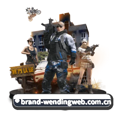 问鼎国际 APP 深度功能 - wending